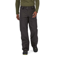 Patagonia Powder Town Pants (Short) - Men's