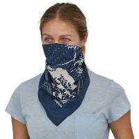 Patagonia Bandana