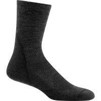 Darn Tough Hiker Micro Crew Light Sock - Men's