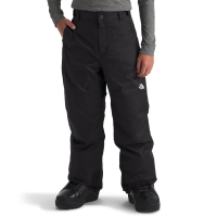 The North Face Freedom Insulated Pant - Boy's
