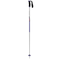 Atomic AMT SQS Rretro Arc Poles