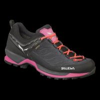 Mountain Trainer GTX Shoes - Women's / Asphalt/Sangria / 7