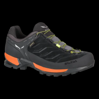Mountain Trainer GTX Shoes - Men's / Black Out/Holland / 9
