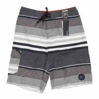 Santa Cruz Stripe Board Shorts - Boys' / Gray / 26