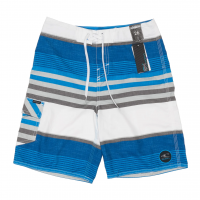 Santa Cruz Stripe Board Shorts - Boys' / Blue / 26