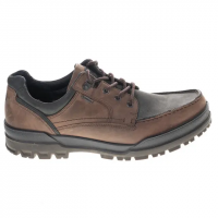 ECCO Track 25 Low Gore-tex Waterproof Hiking Shoes - Men's