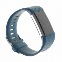 Fitbit Charge 2 Watch