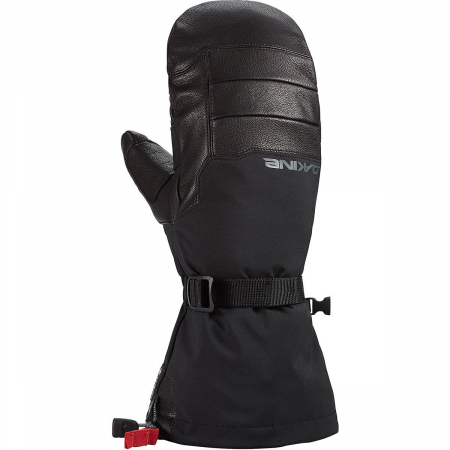 Phoenix Gore-Tex Mitten - Men's