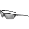 Tifosi Optics Radius FC Sunglasses