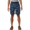 Columbia Silver Ridge Printed Cargo Short - Men's
