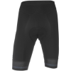 Giordana FormaRed Carbon Shorts with Cirro Insert - Men's