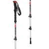 ARVA Fuji Ski Pole - 3pc Powerlock