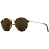 Ray-Ban Round Fleck Sunglasses