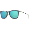Ray-Ban RB4221 Sunglasses