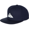 Teton Gravity Research Icon Snapback Hat