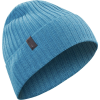 Arc'teryx Delphic Beanie