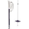 Black Diamond Boundary Probe Ski Pole