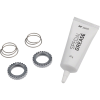 DT Swiss Star Ratchet Upgrade Kit