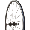 Shimano RS21 Wheelset - Clincher