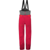Scott Vertic GTX 3L Pant - Men's
