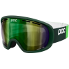 POC Fovea Goggle