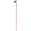 LEKI Genius Vario Ski Pole