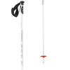 Scott RS-18 Ski Pole