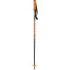 Rossignol Fat Jr. Ski Pole - Kids'