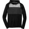 SmartWool NTS Midweight 250 Color Block Pullover Hoodie - Men's