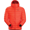 Arc'teryx Cerium LT Hooded Down Jacket - Men's