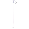Volkl Phantastick Ski Pole - Women's