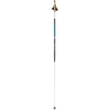 Rossignol Extra Carbon 30 Ski Pole
