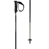 Volkl Phantastick Carbon Pole