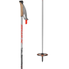 Swix Mountain Ski Pole