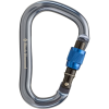Black Diamond RockLock Screwgate Carabiner