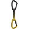 Black Diamond Positron Quickdraw