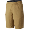 Mountain Hardwear Mesa II Short - Men's