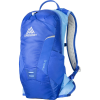 Gregory Maya 10L Backpack