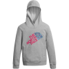 The North Face Logowear Pullover Hoodie - Girls'
