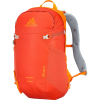 Gregory Salvo 18L Backpack