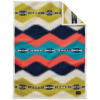 Pendleton Saguaro Muchacho Baby Blanket
