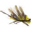Montana Fly Company Kyle's King Kong Golden - 6-Pack