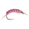 Montana Fly Company Scud - 6-Pack
