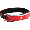 Salomon Agile 250 Hydration Belt Set