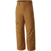 Columbia Bugaboo Pant - Boys'
