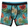 Stance Wholester Wanderer Underwear - Men's