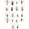 Montana Fly Company Ultimate Stonefly 18 Fly Assortment