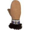 Astis Torres Del Paine Mitten - Women's