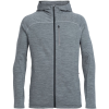Icebreaker Mt Elliot Hooded Fleece Jacket - Men's