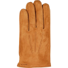 Hestra Robert Glove